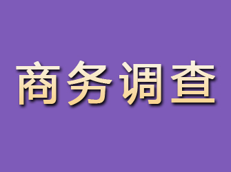 广宁商务调查